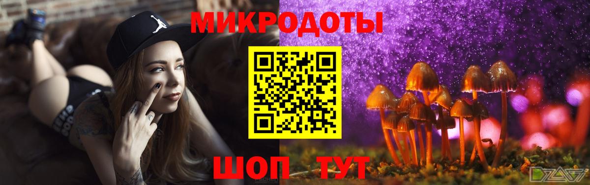 Псилоцибиновые грибы GOLDEN TEACHER Киржач